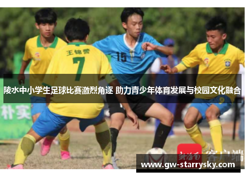 陵水中小学生足球比赛激烈角逐 助力青少年体育发展与校园文化融合